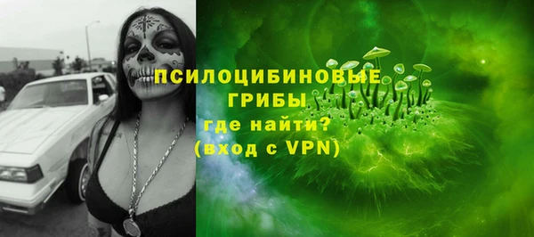 амф Краснослободск