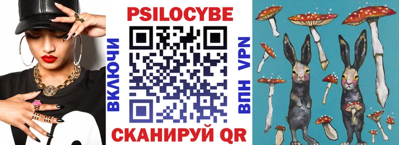 Купить  Владимир  Галлюциногенные грибы MAGIC MUSHROOMS 