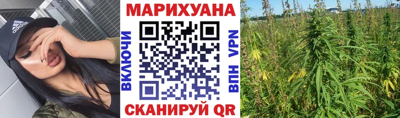 Купить  Владимир  МАРИХУАНА THC 21% 